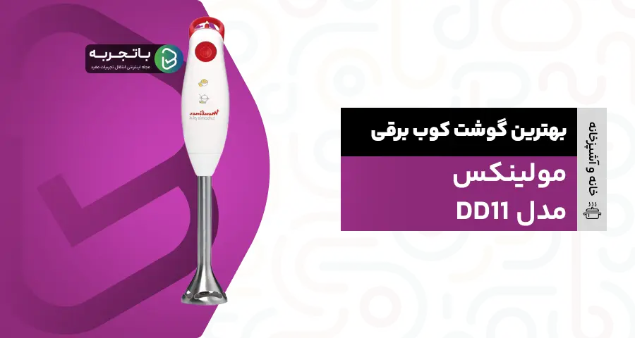 گوشت کوب برقی مولینکس مدل DD11